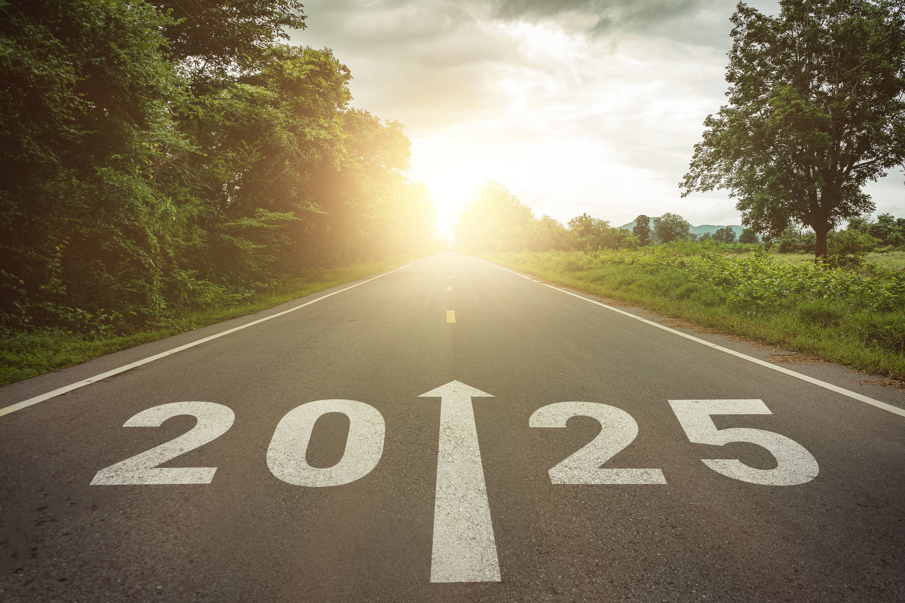 The Shocking Truth About Wayne State'S Sdn 2025 Goals - itr37sd